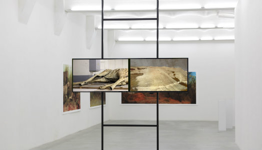 Bologna Art Week/14. Il grado zero della comunicazione. Ungrammatical all’Esprit Nouveau