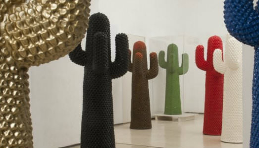 Bologna Design Week/5. Le storie del cactus. A Palazzo Isolani, il libro su Franco Mello
