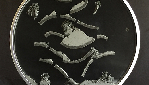 Eppur si muove! Arte cinetica a Bologna Eppur si muove! Arte cinetica a Bologna