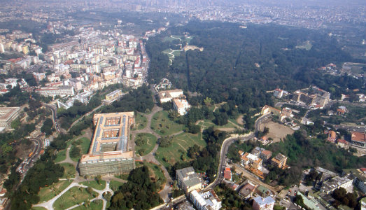 Al Bosco di Capodimonte, anche le Camelie parlano. Al via l’iniziativa di beneficenza