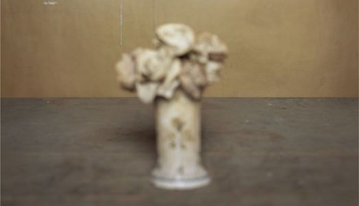 Brigitte March Niedermair. Horizon  | Museo Morandi, Bologna