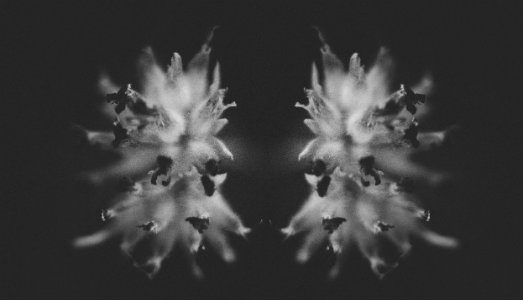 Trovato? Buccinson vince il contest Instagram promosso da Elica e Fondazione Casoli Trovato? Buccinson vince il contest Instagram promosso da Elica e Fondazione Casoli