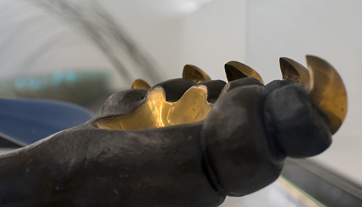 Carta Bianca a 10 curatori outsiders Carta Bianca a 10 curatori outsiders