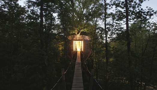 Last minute/8. Una notte nel nido sull’albero