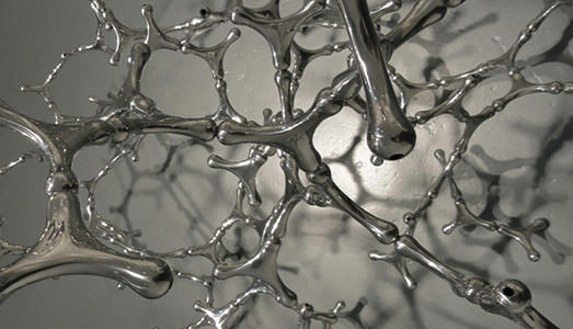 Cecchini e Bindi, dialogo arte e scienza