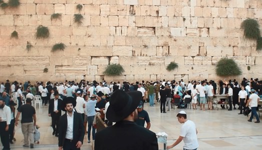 Arte, video arte o documentario?