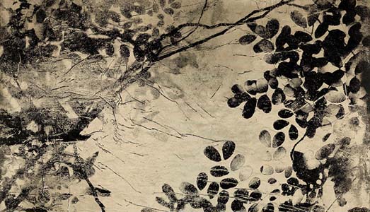 Fino al 25.XII.2016 | Bill Claps, Natural Abstractions | Spazio Garibaldi 77, Milano Fino al 25.XII.2016 | Bill Claps, Natural Abstractions | Spazio Garibaldi 77, Milano