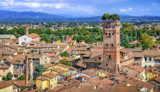 L’importanza delle radici. Al via il primo concorso di scultura di Fondazione CRL