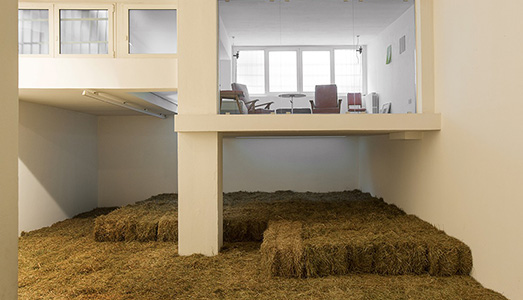 Fino al 26.XI.2016 | Helen Mirra, Allyson Strafella, Fieno Fieno Fieno | Galleria Raffaella Cortes , Milano Fino al 26.XI.2016 | Helen Mirra, Allyson Strafella, Fieno Fieno Fieno | Galleria Raffaella Cortes , Milano