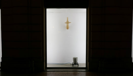 Cosa bolle nel pentolone? Una mostra che annebbia le vetrine della galleria Tripla di Bologna