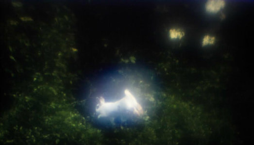 All’Istituto Svizzero di Roma, la due giorni di Inscape Rooms farà suonare Sigmund Freud