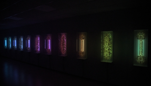 La semplicità dell’opera totale. Le Sinfonie di Cristiano Petrucci al Vetrya Campus di Orvieto