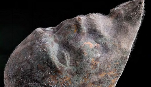 Venezia/11. A Palazzo Grassi, appuntamento con Roberto Cuoghi per la presentazione della sua prima monografia completa