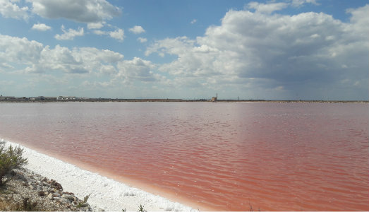 Dal mare nascono i diamanti. Alle saline di Margherita di Savoia, chiude Apulia Land Art