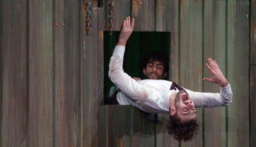 ricci/forte, Darling | CSS, Udine