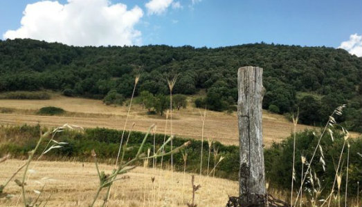 In Daunia, scoprendo antichi percorsi della transumanza. Ancora pochi giorni per partecipare alla call