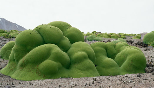 Il design salverà il mondo? Un simposio pubblico presenta i temi della Triennale di Milano