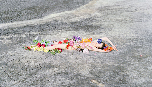 Le piante nell’arte contemporanea Le piante nell’arte contemporanea