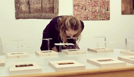 Alla Galleria Civica di San Donà, sei artisti riflettono sulle perturbazioni della natura e dell’uomo