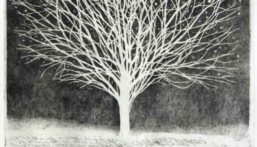 A Roma, nella camera delle meraviglie della grafica, con Patrizio Di Sciullo, Andrea Lelario e Francesco Parisi