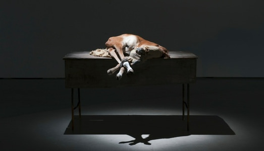 PAUSE D’ATTENZIONE PAUSE D’ATTENZIONE