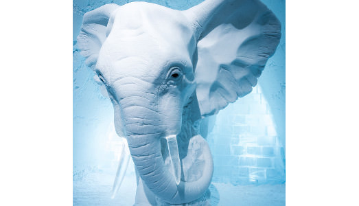 Ma quanto è cool l’albergo! Ma quanto è cool l’albergo!