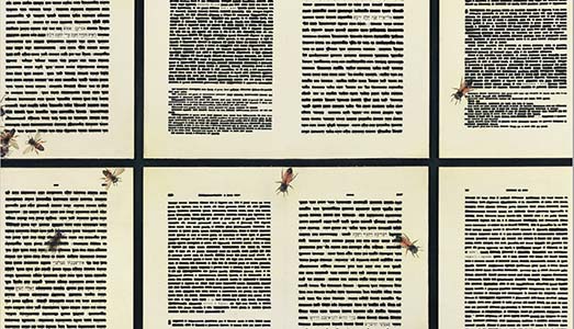 L’INTERVISTA/ EMILIO ISGRÒ L’INTERVISTA/ EMILIO ISGRÒ