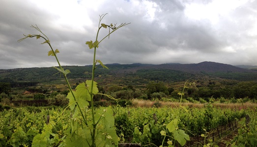 Un mese in residenza sul vulcano: ecco “Etna rêverie”, con canecapovolto, Alessio de Girolamo, Giuseppe Lana, Filippo Leonardi e Loredana Longo