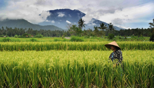 Fai come Paul Gauguin. Fuggi in un paradiso tropicale, con il bando Noa Noa Art Residency