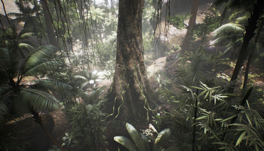 Il mondo visto da un albero. A Ferrara, l’esperienza immersiva di Tree