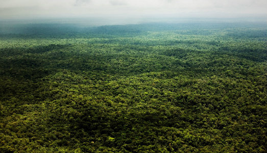 Un equilibrio sottile. Al Festival di Fotografia di Bergamo, cartoline dal climate change Un equilibrio sottile. Al Festival di Fotografia di Bergamo, cartoline dal climate change