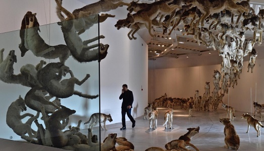 Riconferma a tempo per Fabio Cavallucci al Pecci di Prato, in attesa di una call internazionale per la direzione del futuro