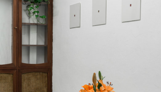 Milano Art Week/5. Il giardino che non c’è. Da Casatibuonsante, la mostra di Iacopo Costanzo