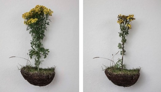 Imparare l’arte (delle immagini) senza metterle da parte. Fondazione Fotografia Modena lancia la nuova call per il suo master biennale Imparare l’arte (delle immagini) senza metterle da parte. Fondazione Fotografia Modena lancia la nuova call per il suo master biennale