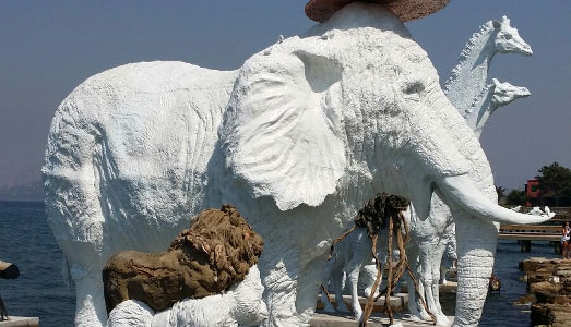 Lo zoo sopra il mare Lo zoo sopra il mare