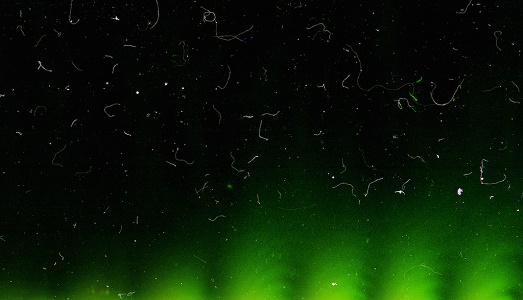 Bologna, in fiera/11. Sguardo alla fotografia dell'”Agenda Independent”, ovvero otto gallerie sotto il segno della questione dell’autorialità Bologna, in fiera/11. Sguardo alla fotografia dell'”Agenda Independent”, ovvero otto gallerie sotto il segno della questione dell’autorialità