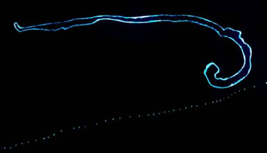 L’Hangar Bicocca si illumina. La mostra di Lucio Fontana chiude con i maestri della musica sperimentale