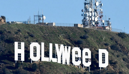 Quel genio di Jesus Hand e di Hollyweed. Si costituisce l’artista che ha cambiato la celebre scritta sulle colline di Los Angeles, in omaggio alla legalizzazione della Marijuana