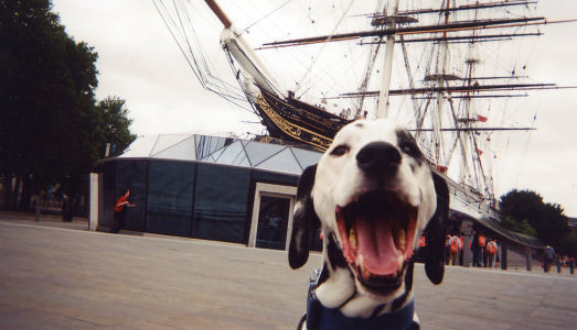 Le foto dei senzatetto Le foto dei senzatetto