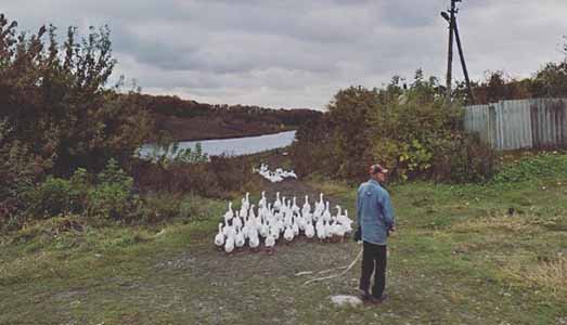 La magia di Google Street View |