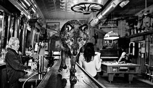 La natura selvaggia di David Yarrow