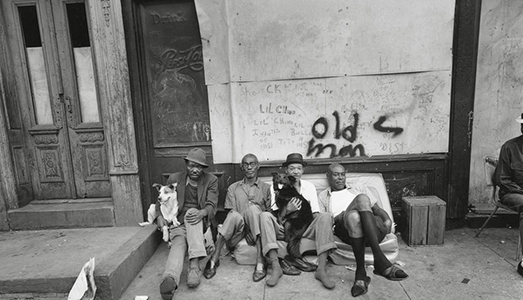 Il migliore amico dell’uomo