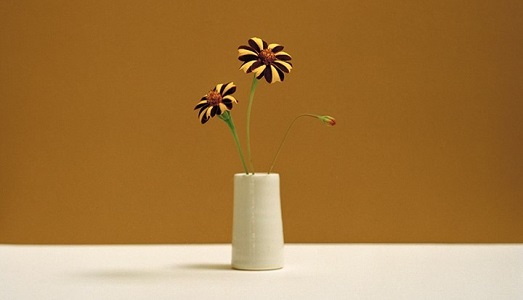 I ritratti botanici di Kate Friend