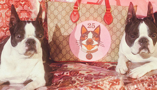 Gucci celebra l’anno del cane