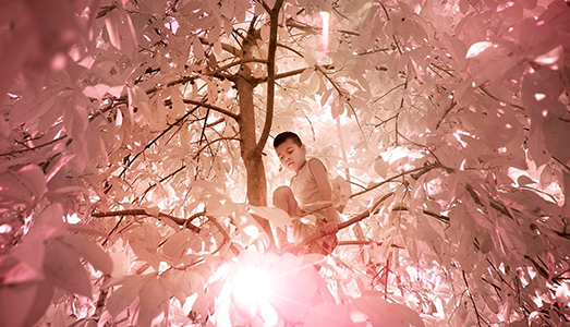 Pingelap, l’isola dove non si vedono i colori |