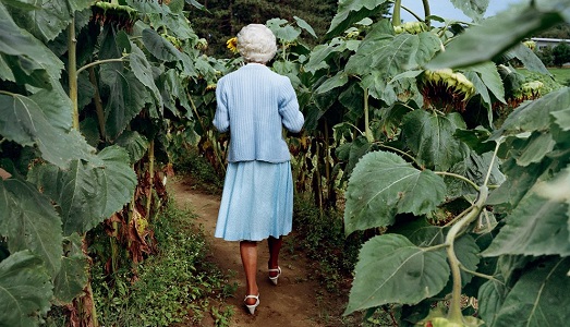 Fotografi in giardino