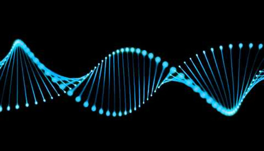 Il DNA che svela i falsi Il DNA che svela i falsi