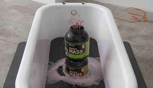 Fino al 22.IV.2017 | Graham Hudson, I’m empty like a vegetable | Monitor, Roma