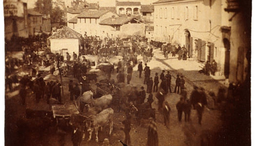 Fino al 6.XII.2015 | Il Quarto Stato e il territorio di Volpedo nelle fotografie del Fondo Giuseppe Pellizza da Volpedo con Omaggio a Paolo Monti | Castello Sforzesco, Milano