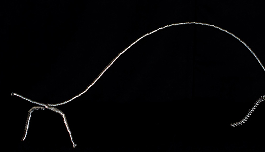 Fino al 20.IX.2016 | Michele Iodice, Reperti impossibili | Palazzo Cerio, Capri Fino al 20.IX.2016 | Michele Iodice, Reperti impossibili | Palazzo Cerio, Capri